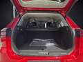 DR Automobiles DR6.0 1.5 Turbo CVT Bi-Fuel GPL Rot - thumbnail 21