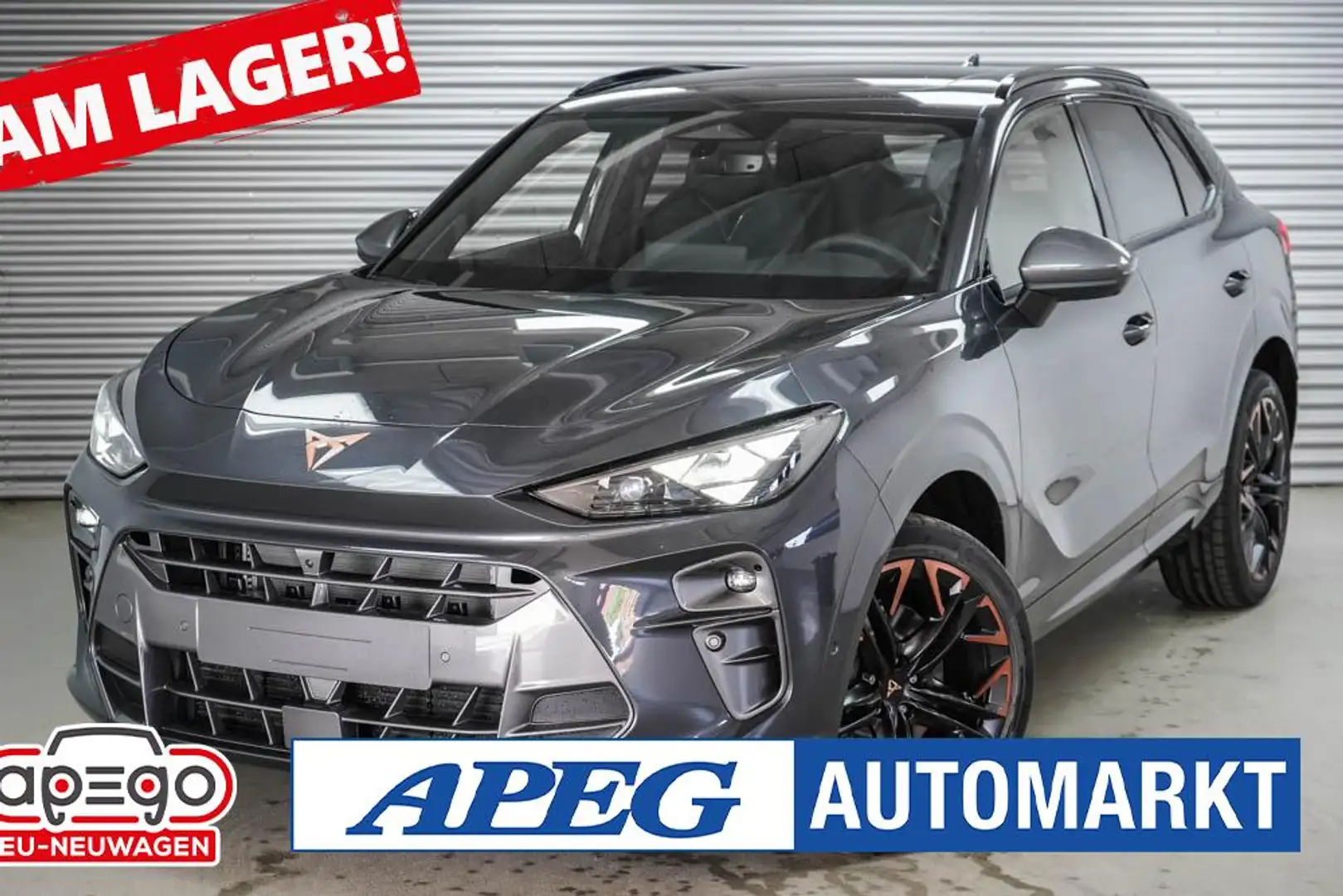 CUPRA Terramar 2,0 TSI DSG 4Drive VZ Grau - 1