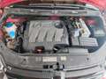 Volkswagen Golf Plus Golf Plus Trendline 1,6 TDI DPF Trendline Rot - thumbnail 6