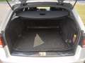 Mercedes-Benz E 250 Estate Avantgarde | Automaat Wit - thumbnail 10