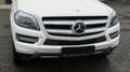Mercedes-Benz GL 350 BlueTec 4Matic/AHK/Panorama/Euro6/H&K/ACC White - thumbnail 9