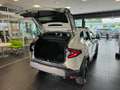 Dacia Duster Tce 130 CV MHEV 4x4 Extreme Grigio - thumbnail 12