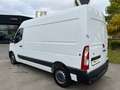 Renault Master Kastenwagen FWD Kasten KOMFORT L2H2 3,5t dCi 180 Weiß - thumbnail 13