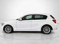 BMW 116 116i Blanco - thumbnail 6