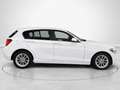 BMW 116 116i Blanco - thumbnail 2