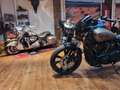 Indian Sport Scout Ltd. 100 Jahre (EUR 250/4,99 %) Marrón - thumbnail 30