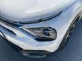Citroen C4 1.5 bluehdi Feel Pack s&s 130cv eat8 Blanc - thumbnail 21