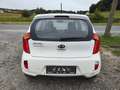 Kia Picanto Picanto1.0i !UNIQUEMENT POUR MARCHAND OU EXPORT! Weiß - thumbnail 5