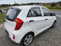 Kia Picanto Picanto1.0i !UNIQUEMENT POUR MARCHAND OU EXPORT! Weiß - thumbnail 4
