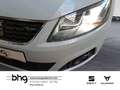 SEAT Alhambra 2.0 TDI S&S DSG FR-LINE *CLIMATRONIC*DA Silber - thumbnail 12