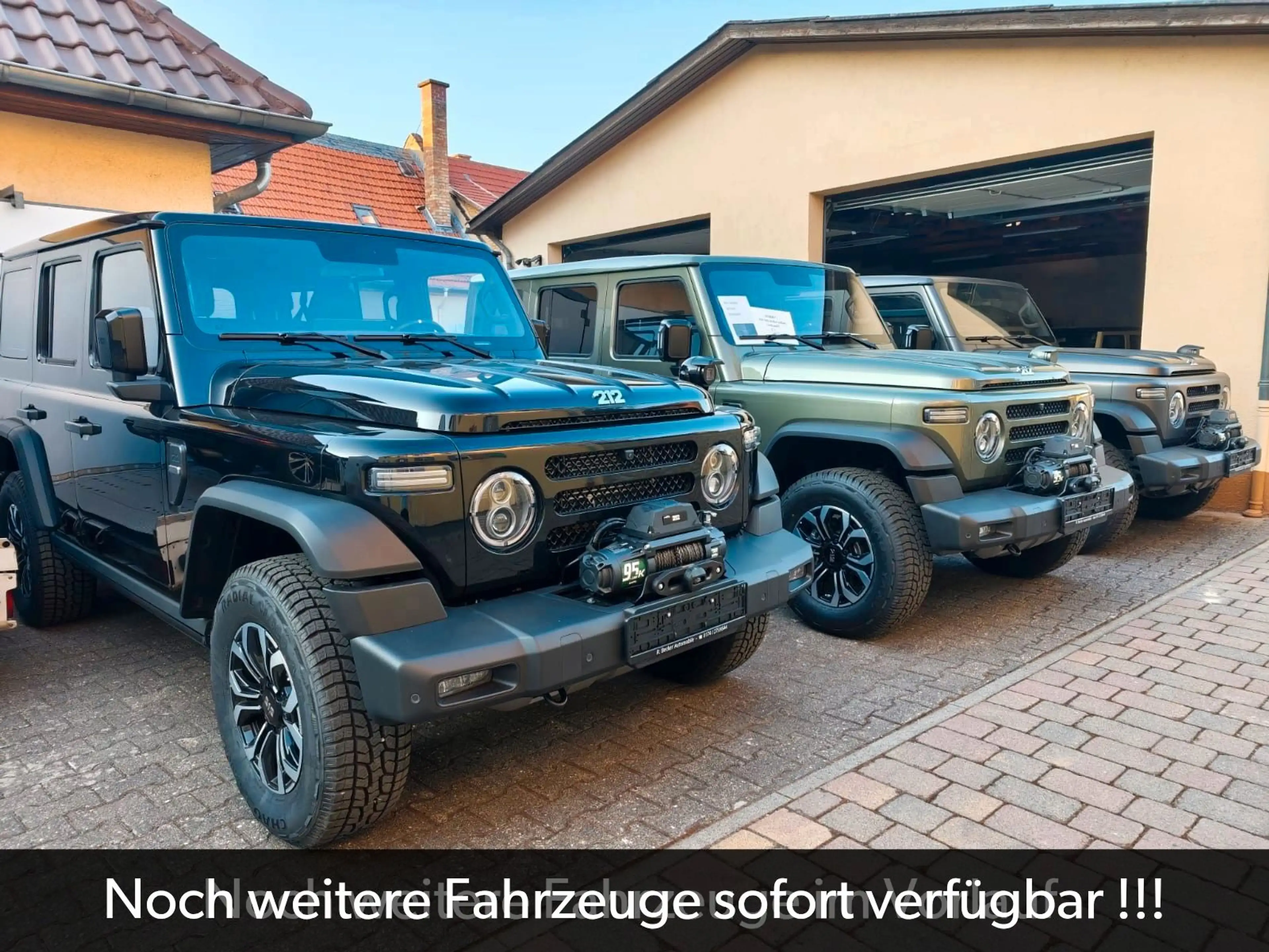 BAW 212 sofort verfügbar abgedunkelte Scheiben — photo 2