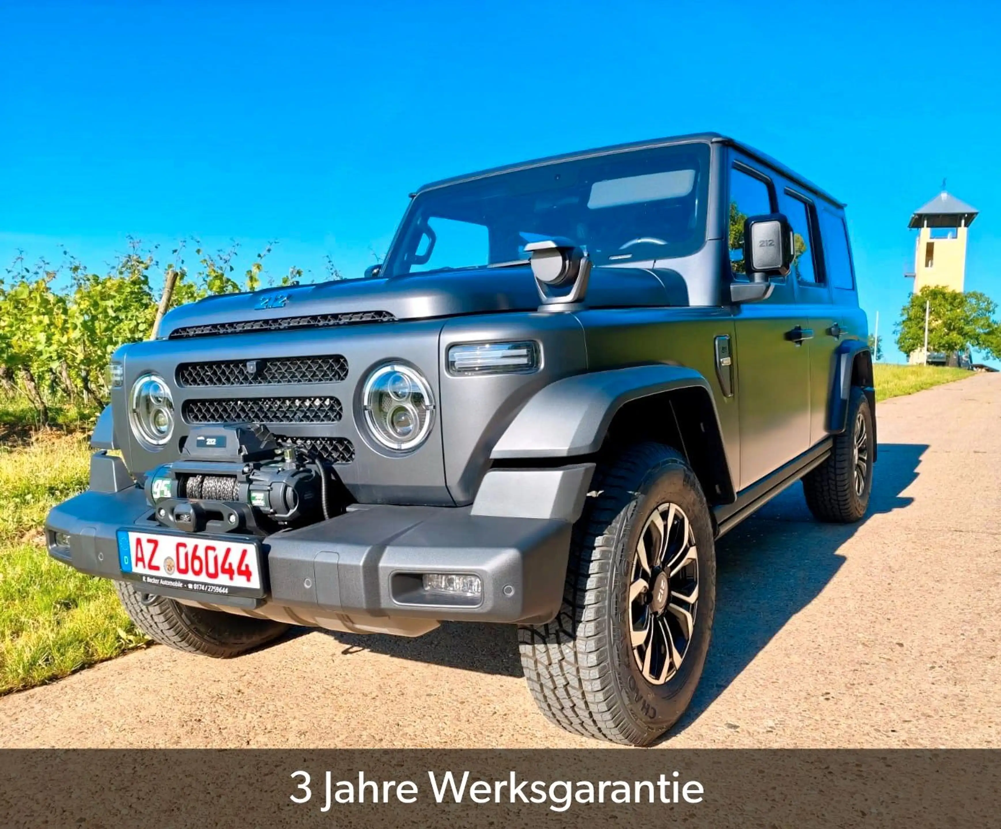 BAW 212 sofort verfügbar abgedunkelte Scheiben — photo 7