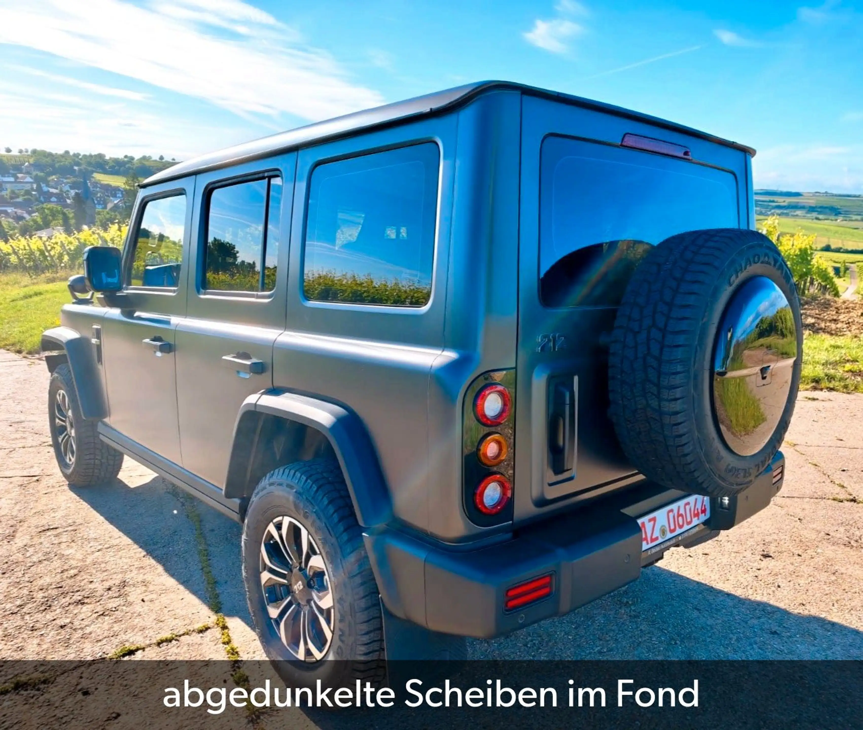 BAW 212 sofort verfügbar abgedunkelte Scheiben — photo 6