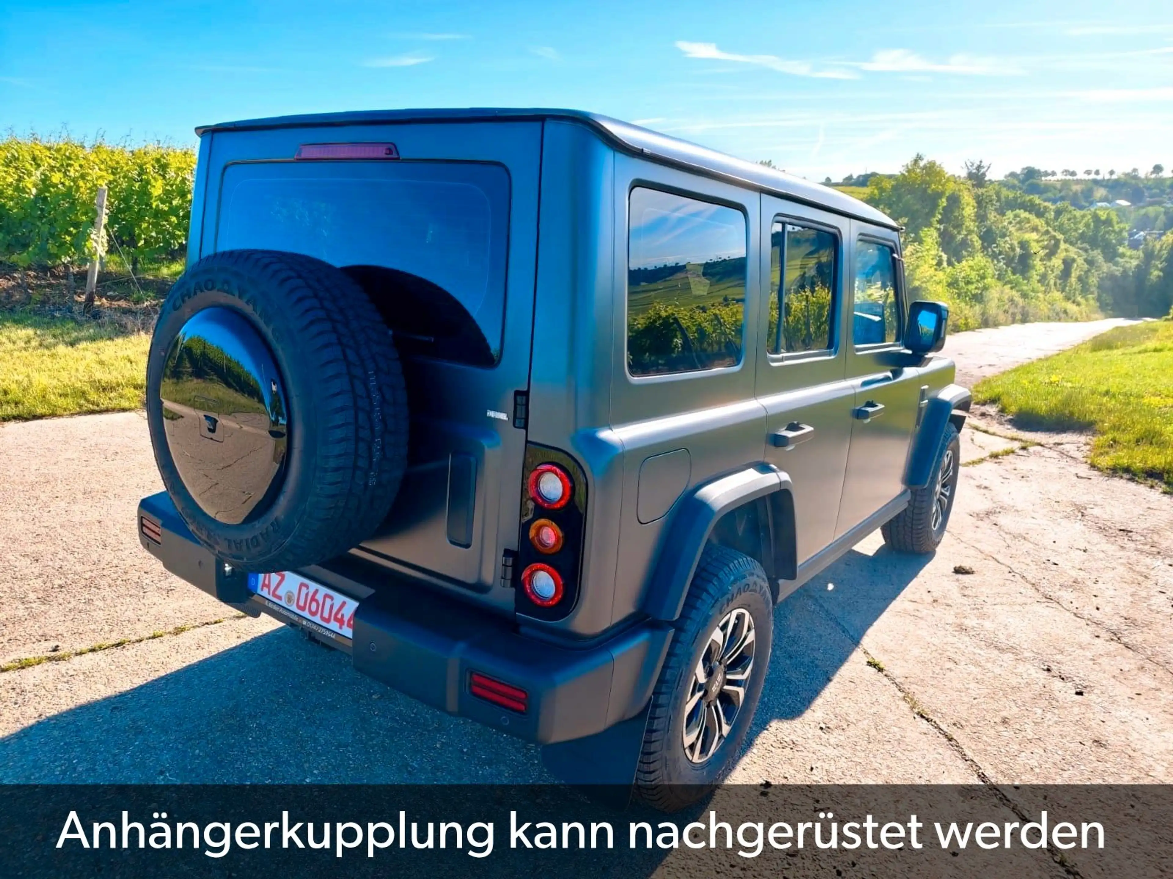 BAW 212 sofort verfügbar abgedunkelte Scheiben — photo 15
