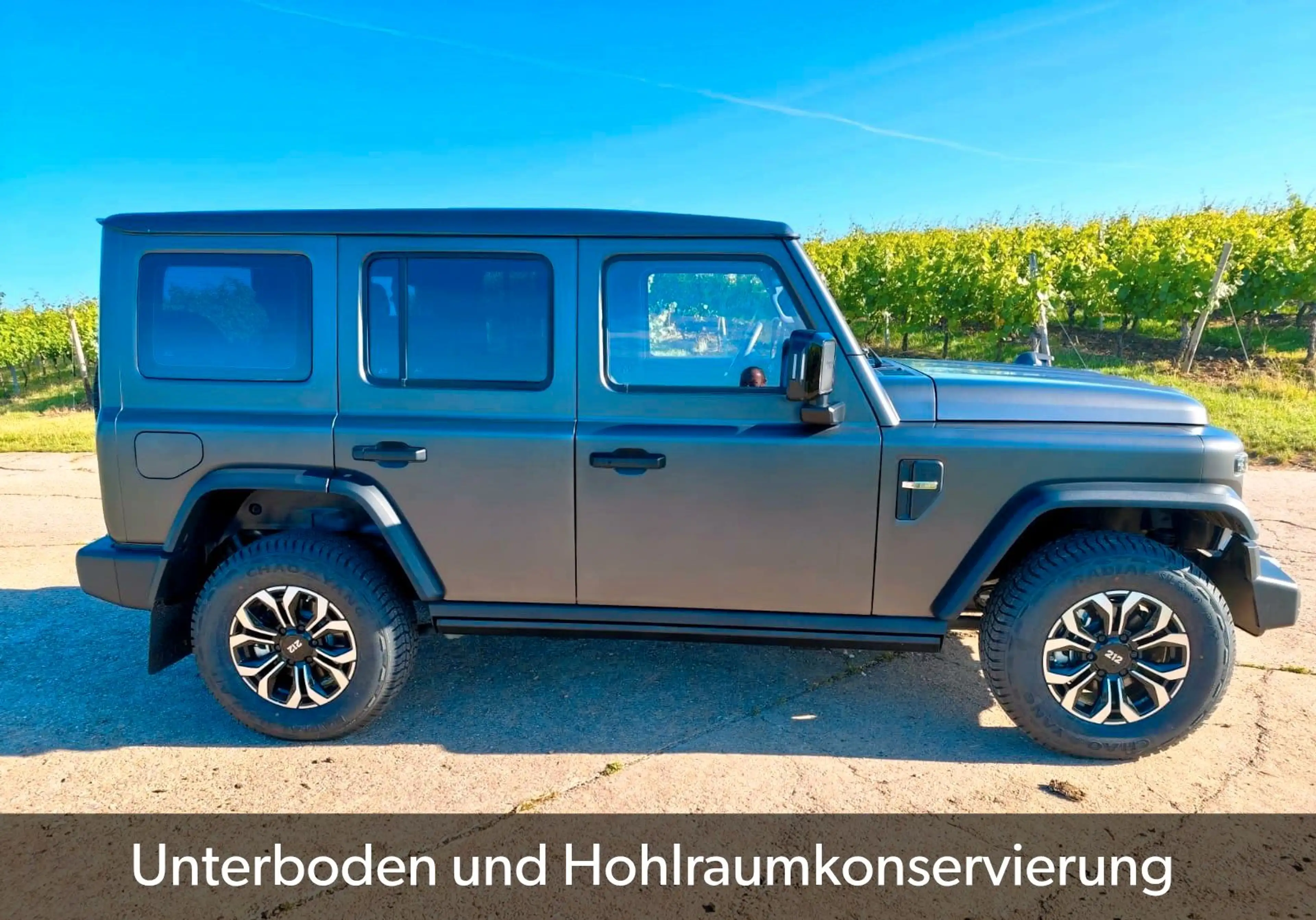 BAW 212 sofort verfügbar abgedunkelte Scheiben — photo 9