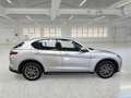 Alfa Romeo Stelvio 2.2 Turbo Diesel 160CV Business AT8 RWD - thumbnail 3