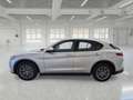 Alfa Romeo Stelvio 2.2 Turbo Diesel 160CV Business AT8 RWD - thumbnail 5