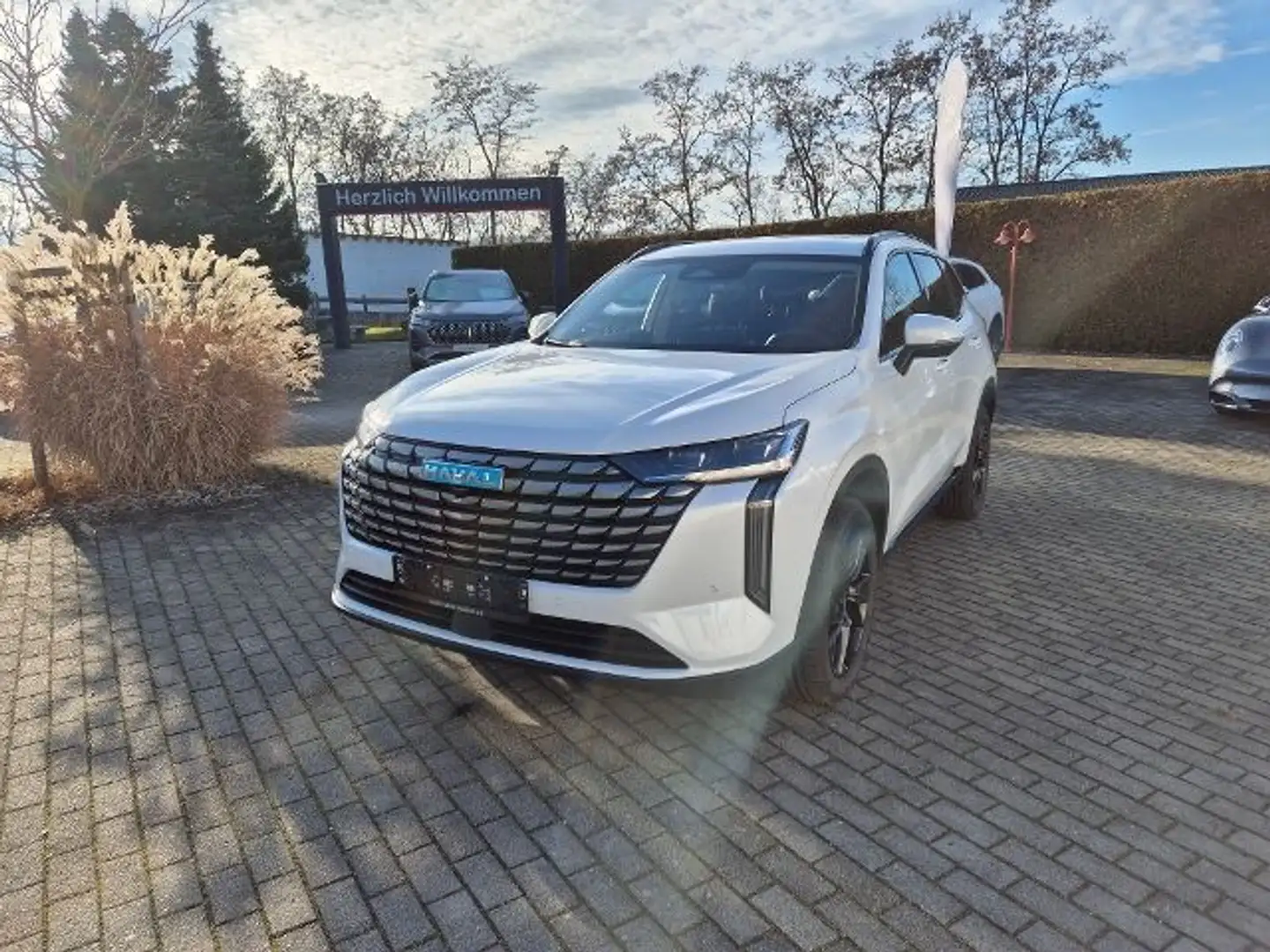 GWM Sonstige Weiß - 1