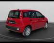 Fiat Panda My25 1.0 70cv Hybrid Panda Roşu - thumbnail 2