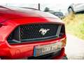 Ford Mustang Fastback 5.0 v8 GT 421 ch BVM6 - Échapp. REMUS à clapets Rot - thumbnail 29