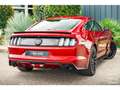 Ford Mustang Fastback 5.0 v8 GT 421 ch BVM6 - Échapp. REMUS à clapets Rot - thumbnail 13