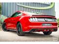 Ford Mustang Fastback 5.0 v8 GT 421 ch BVM6 - Échapp. REMUS à clapets Rot - thumbnail 16