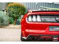 Ford Mustang Fastback 5.0 v8 GT 421 ch BVM6 - Échapp. REMUS à clapets Rot - thumbnail 22