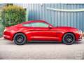 Ford Mustang Fastback 5.0 v8 GT 421 ch BVM6 - Échapp. REMUS à clapets Rot - thumbnail 19