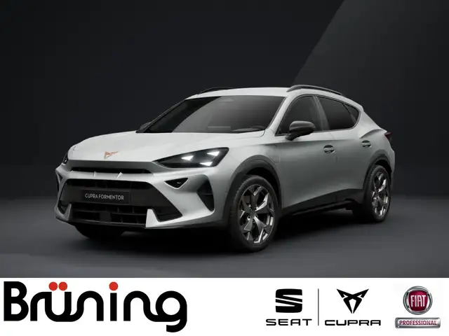 CUPRA Formentor 1.5 e-HYBRID Ganzjahresreifen/AHK Klima