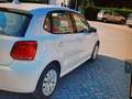 Volkswagen Polo 5p 1.2 Trendline 60cv Bianco - thumbnail 5