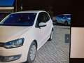 Volkswagen Polo 5p 1.2 Trendline 60cv Bianco - thumbnail 3
