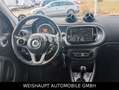 smart forFour EQ -Premium -Panno / EQ 22KW- Kamera-Alu Noir - thumbnail 20