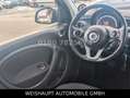 smart forFour EQ -Premium -Panno / EQ 22KW- Kamera-Alu Noir - thumbnail 21