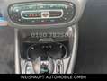 smart forFour EQ -Premium -Panno / EQ 22KW- Kamera-Alu Noir - thumbnail 30