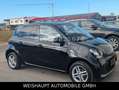 smart forFour EQ -Premium -Panno / EQ 22KW- Kamera-Alu Noir - thumbnail 1