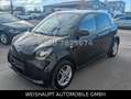 smart forFour EQ -Premium -Panno / EQ 22KW- Kamera-Alu Noir - thumbnail 15