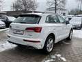 Audi Q5 50 TDI quattro S line Ambiente B&O ViCo RFK Weiß - thumbnail 5