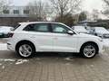 Audi Q5 50 TDI quattro S line Ambiente B&O ViCo RFK Weiß - thumbnail 6