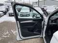 Audi Q5 50 TDI quattro S line Ambiente B&O ViCo RFK Weiß - thumbnail 16