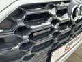 Audi Q5 50 TDI quattro S line Ambiente B&O ViCo RFK Weiß - thumbnail 9