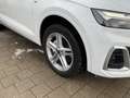 Audi Q5 50 TDI quattro S line Ambiente B&O ViCo RFK Weiß - thumbnail 11