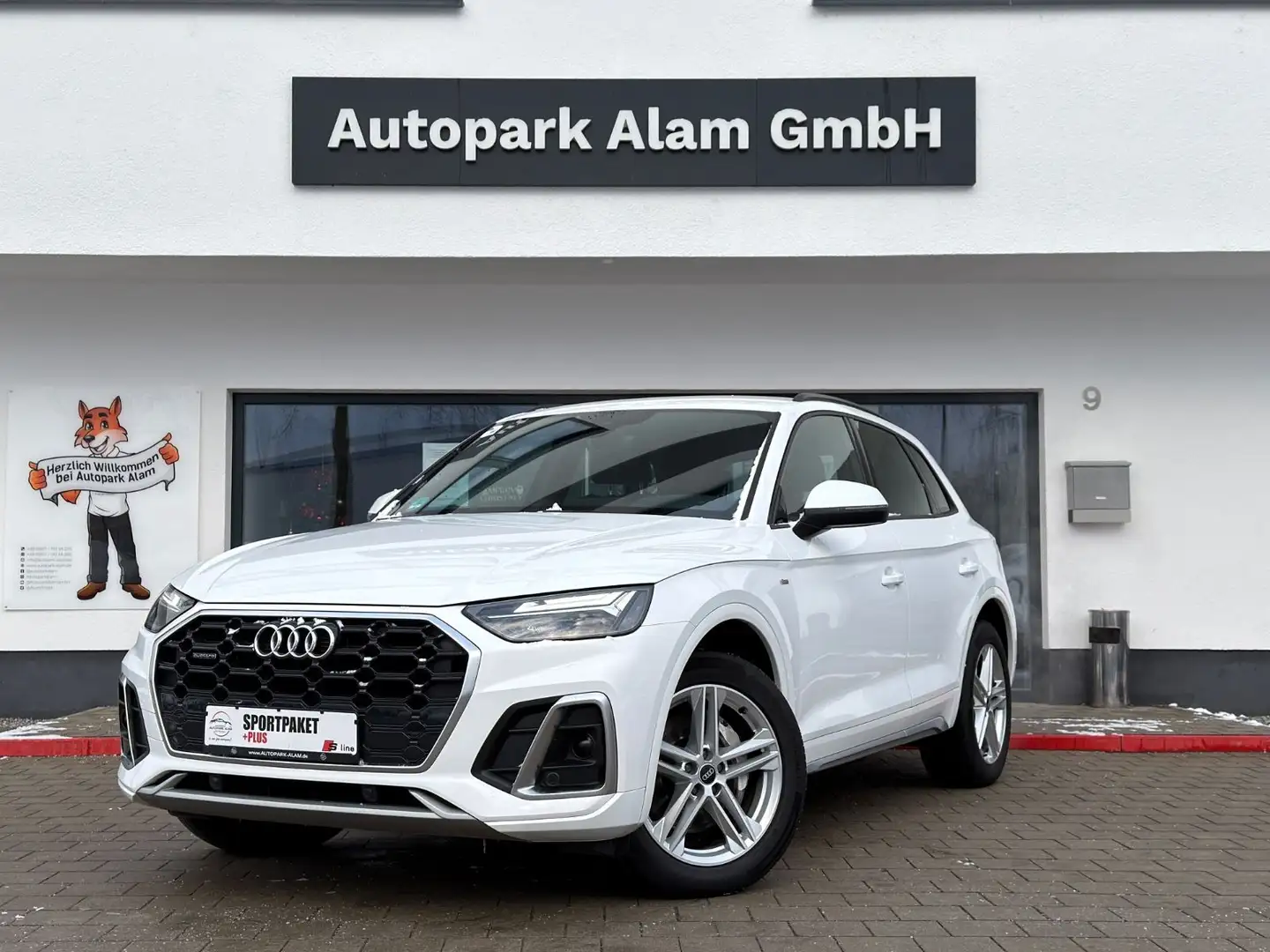 Audi Q5 50 TDI quattro S line Ambiente B&O ViCo RFK Weiß - 1