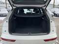 Audi Q5 50 TDI quattro S line Ambiente B&O ViCo RFK Weiß - thumbnail 41