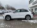 Audi Q5 50 TDI quattro S line Ambiente B&O ViCo RFK Weiß - thumbnail 2