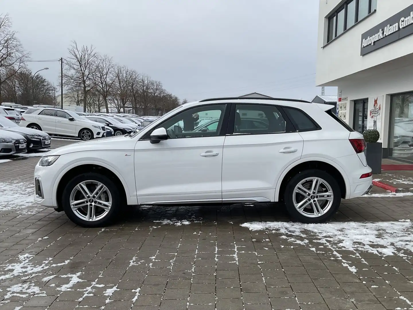 Audi Q5 50 TDI quattro S line Ambiente B&O ViCo RFK Weiß - 2