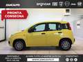 Fiat Panda Panda 1.0 FireFly S&S Hybrid Pop Geel - thumbnail 1