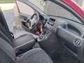 Fiat Panda Panda 1,1 ECO Active ECO Active Rot - thumbnail 7