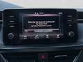 Skoda Kamiq 1.0 TSI MONTE CARLO PANO LM18 LED Blau - thumbnail 16