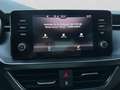Skoda Kamiq 1.0 TSI MONTE CARLO PANO LM18 LED Blau - thumbnail 15