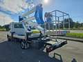 Iveco Daily 35S14 2.3HPT PL PIATTAFORMA CON CESTELLO 20 SOCAGE Blanc - thumbnail 8